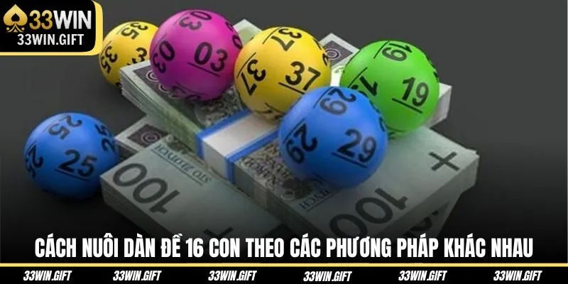 cach-nuoi-dan-de-16-con-theo-cac-phuong-phap-khac-nhau