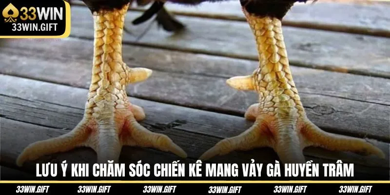 luu-y-khi-cham-soc-chien-ke-mang-vay-ga-huyen-tram