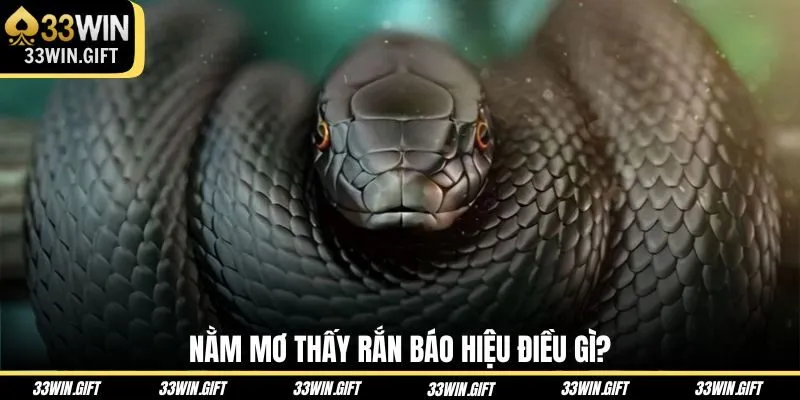 nam-mo-thay-ran-bao-hieu-dieu-gi